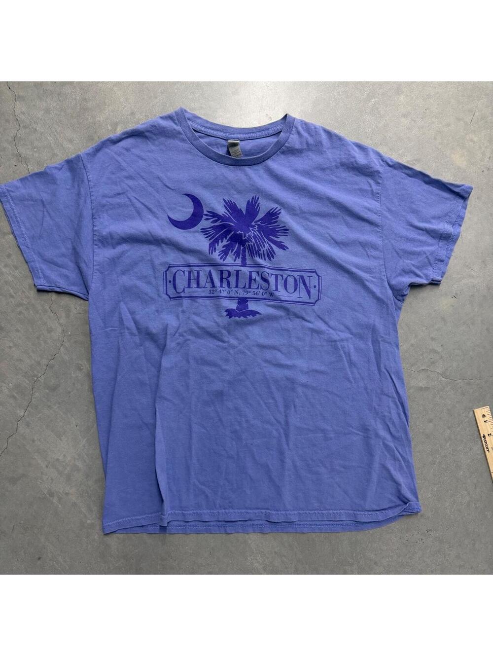 Y2K Men's Purple Charleston South Carolina Flag Graphic Tee Sized XL